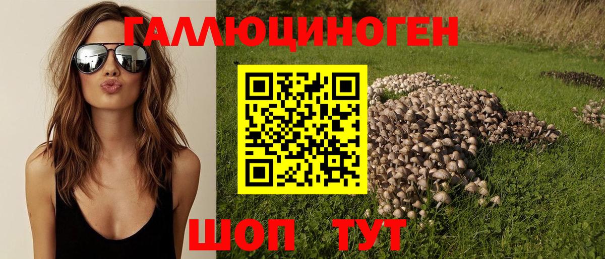 Псилоцибиновые грибы Cubensis  как найти закладки  Саянск  Вход с VPN 