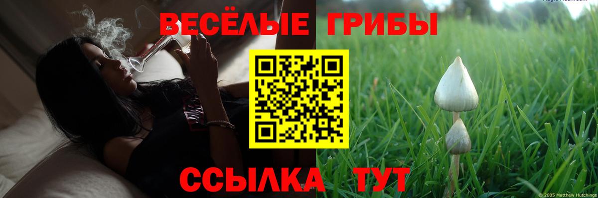 Псилоцибиновые грибы ЛСД Саянск